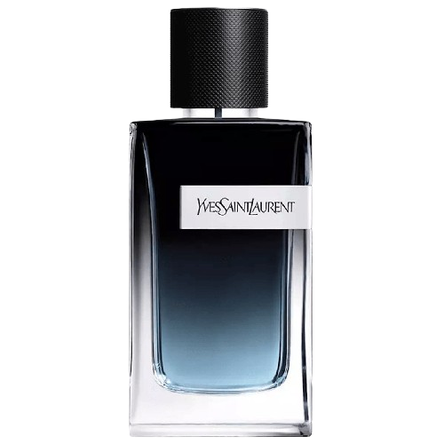 Y by Yves Saint Laurent